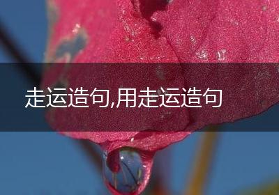 走运造句,用走运造句