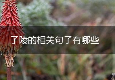 子陵的相关句子有哪些