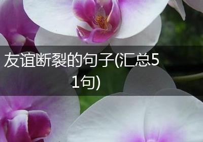 友谊断裂的句子(汇总51句)