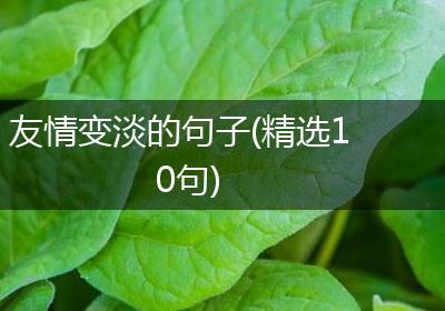 友情变淡的句子(精选10句)