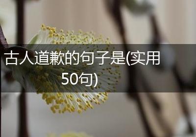 古人道歉的句子是(实用50句)