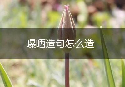 曝晒造句怎么造