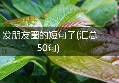 发朋友圈的短句子(汇总50句)