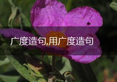 广度造句,用广度造句