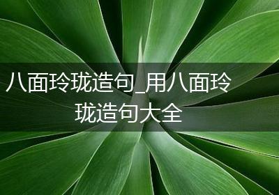八面玲珑造句_用八面玲珑造句大全
