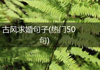 古风求婚句子(热门50句)