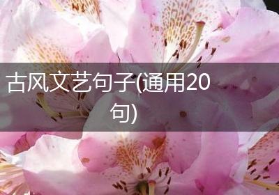 古风文艺句子(通用20句)