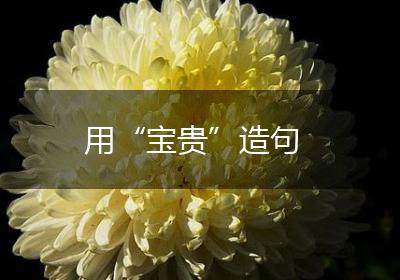 用“宝贵”造句