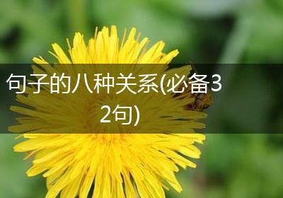 句子的八种关系(必备32句)
