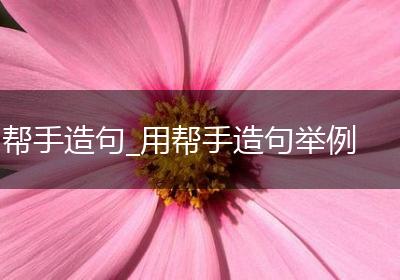 帮手造句_用帮手造句举例