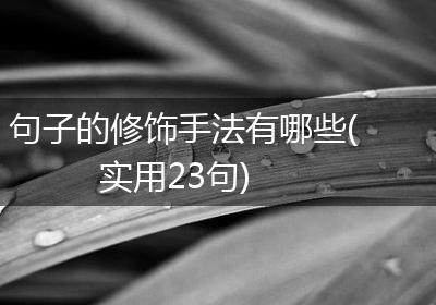 句子的修饰手法有哪些(实用23句)