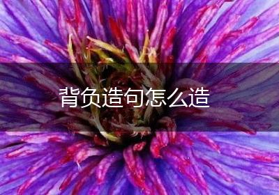 背负造句怎么造