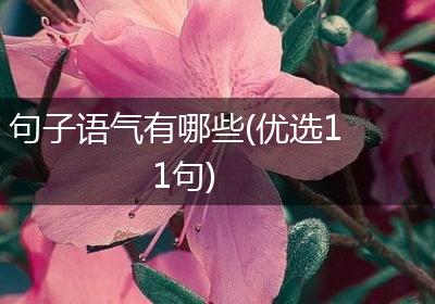 句子语气有哪些(优选11句)