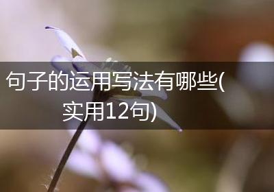 句子的运用写法有哪些(实用12句)