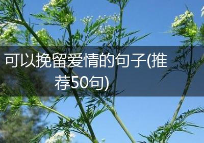 可以挽留爱情的句子(推荐50句)