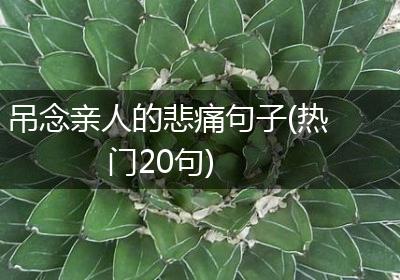 吊念亲人的悲痛句子(热门20句)