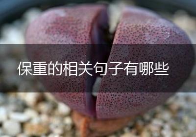 保重的相关句子有哪些