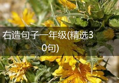 右造句子一年级(精选30句)
