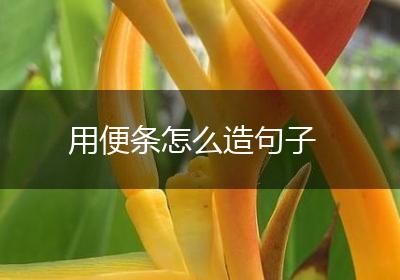 用便条怎么造句子