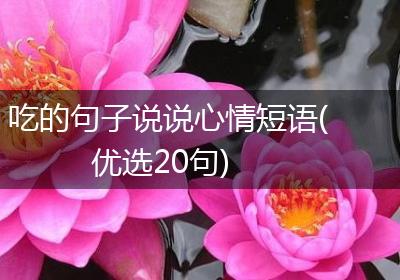 吃的句子说说心情短语(优选20句)