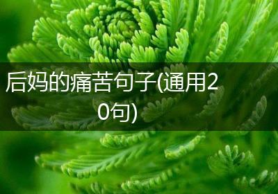 后妈的痛苦句子(通用20句)