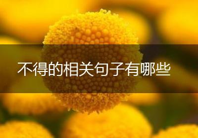 不得的相关句子有哪些