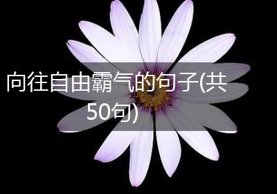 向往自由霸气的句子(共50句)