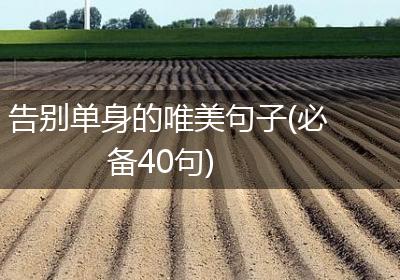 告别单身的唯美句子(必备40句)
