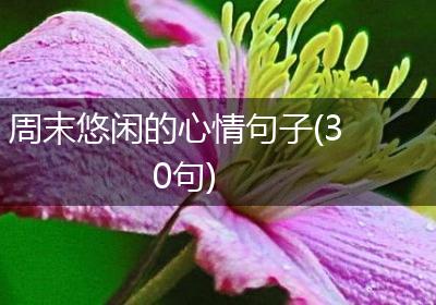 周末悠闲的心情句子(30句)