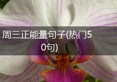 周三正能量句子(热门50句)