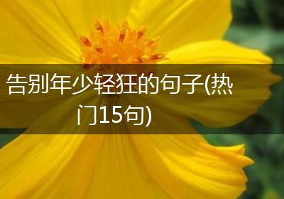 告别年少轻狂的句子(热门15句)
