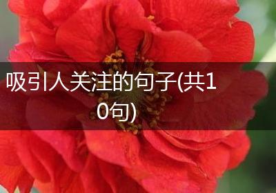 吸引人关注的句子(共10句)