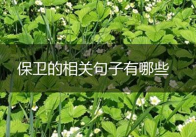 保卫的相关句子有哪些