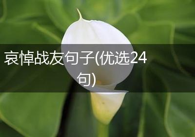 哀悼战友句子(优选24句)