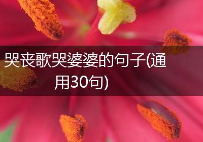 哭丧歌哭婆婆的句子(通用30句)