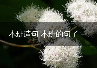 本班造句 本班的句子