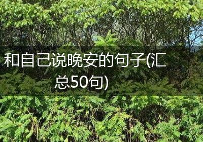 和自己说晚安的句子(汇总50句)