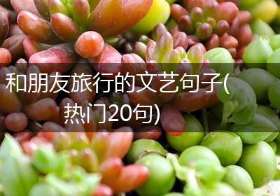 和朋友旅行的文艺句子(热门20句)