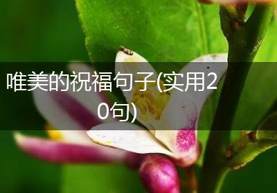 唯美的祝福句子(实用20句)
