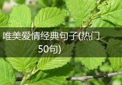 唯美爱情经典句子(热门50句)