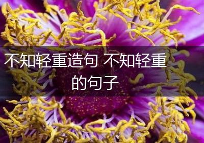 不知轻重造句 不知轻重的句子