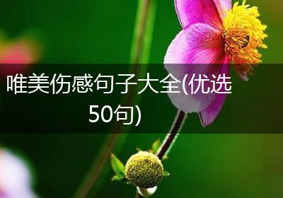 唯美伤感句子大全(优选50句)