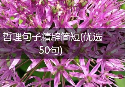 哲理句子精辟简短(优选50句)