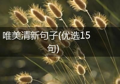 唯美清新句子(优选15句)