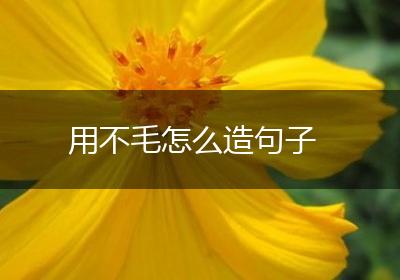 用不毛怎么造句子