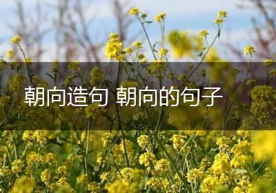 朝向造句 朝向的句子
