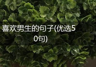 喜欢男生的句子(优选50句)