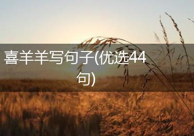喜羊羊写句子(优选44句)