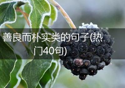 善良而朴实类的句子(热门40句)