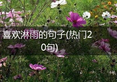 喜欢淋雨的句子(热门20句)